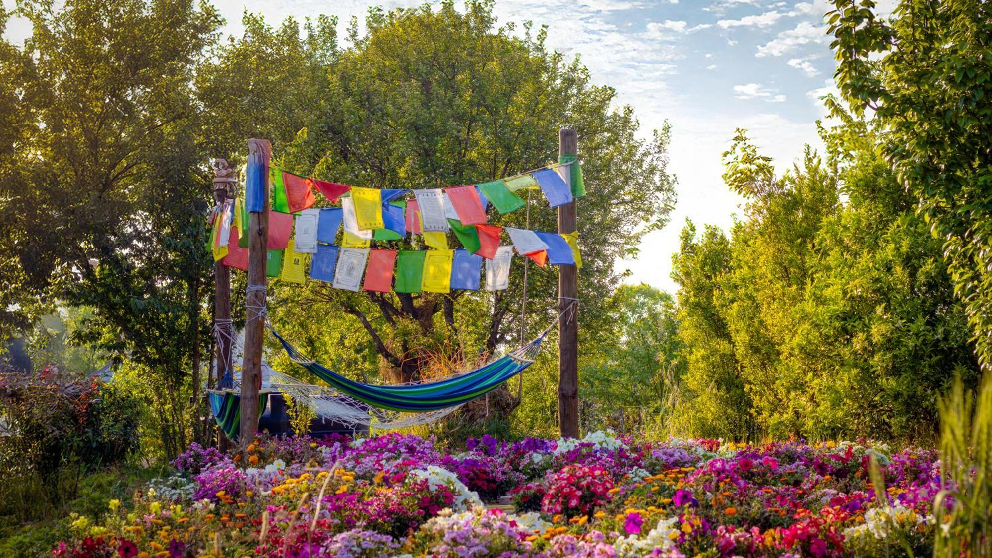 Dormigo Pansiyon Bīr Dış mekan fotoğraf